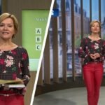 Evelin König Krankheit