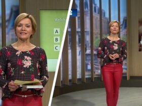 Evelin König Krankheit