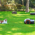 Der moderne Garten in Deutschland