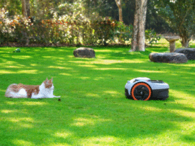Der moderne Garten in Deutschland