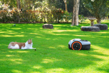 Der moderne Garten in Deutschland