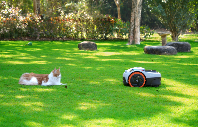 Der moderne Garten in Deutschland